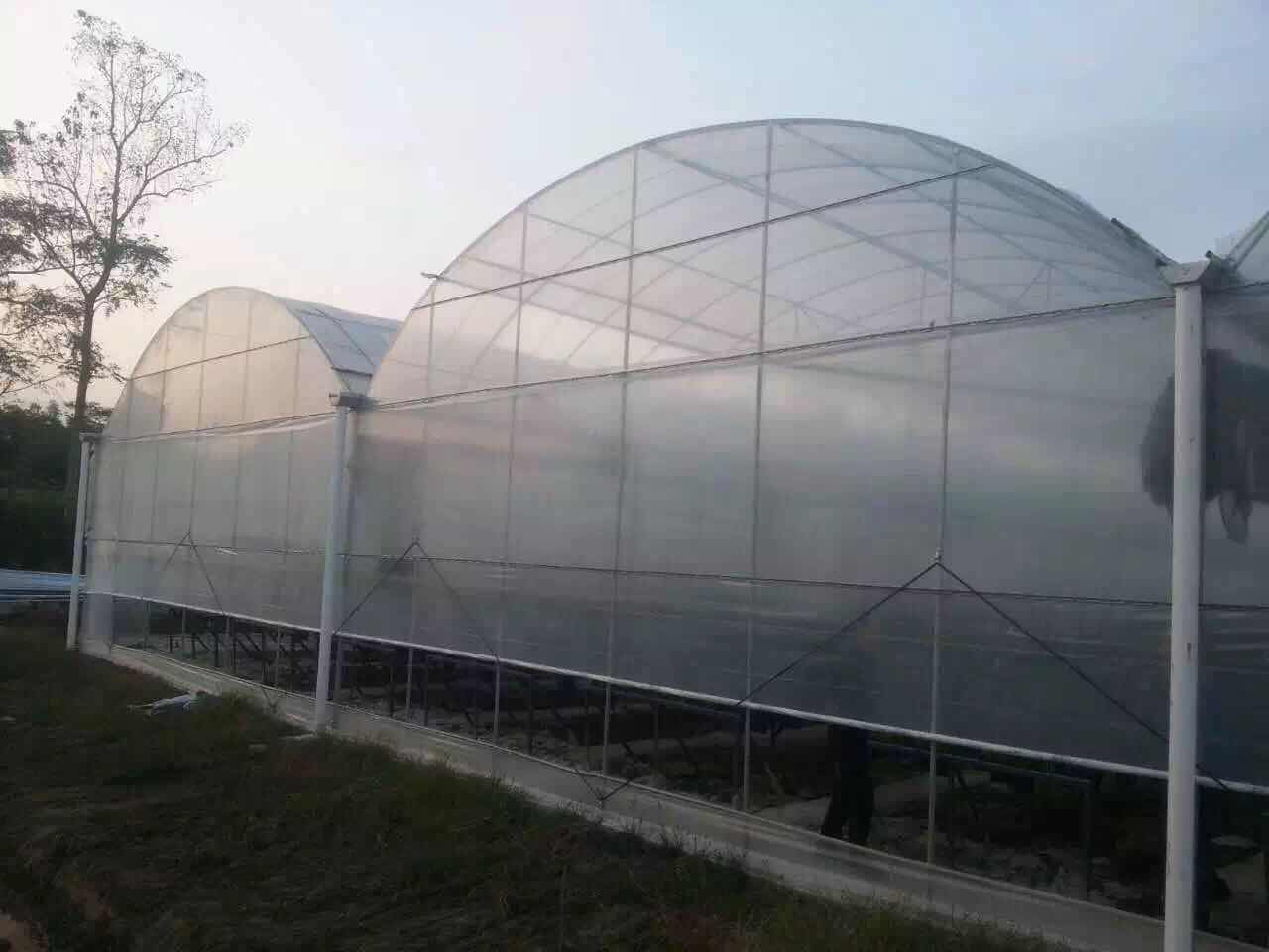 成都連棟溫室大棚案例